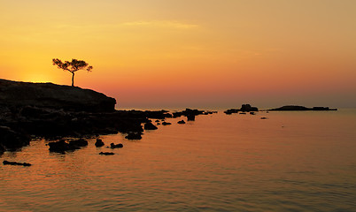 Image showing Alone tree at sunset
