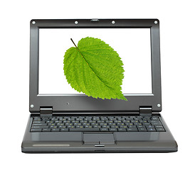 Image showing laptop with green leaf