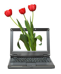 Image showing laptop with tulips bouquet