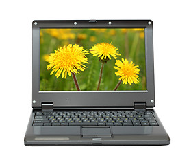 Image showing laptop with dandelions on meadow