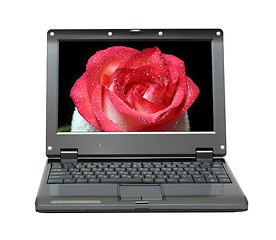 Image showing laptop with red rose on screen