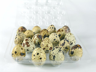 Image showing eggs