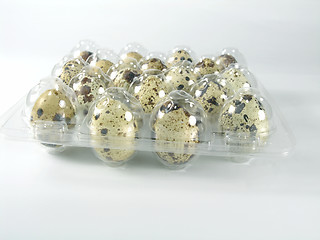 Image showing quail's eggs in a box