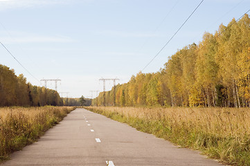 Image showing Asphalt road in autumn