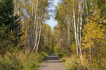 Image showing Autumn park