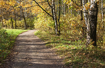 Image showing Autumn park