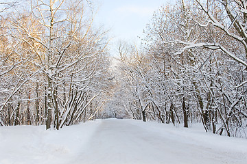 Image showing Winter alley