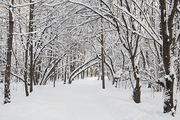 Image showing Winter alley