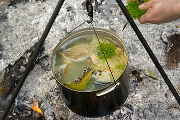 Image showing Cooking fish soup on the fire