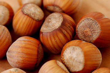 Image showing Hazelnut