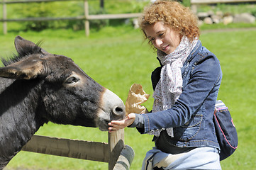 Image showing Girl feeding donkey