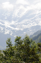 Image showing Grossglockner