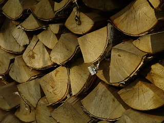 Image showing logs