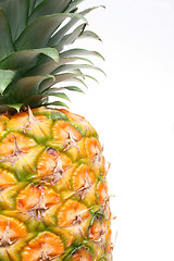 Image showing Pineapple