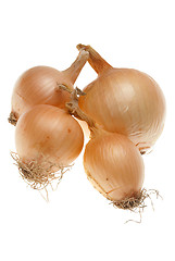 Image showing Four ripe onions