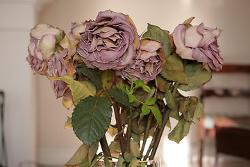 Image showing Withered roses