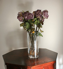 Image showing Withered roses in a vase