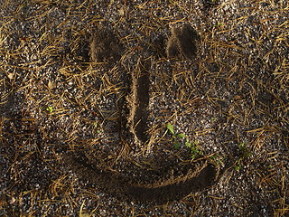 Image showing sandy smile