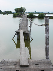 Image showing Wooden bridge in Thailand