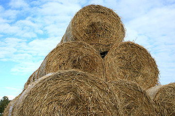 Image showing Hay bales