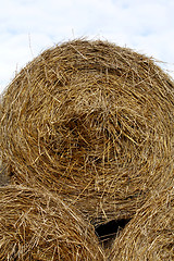 Image showing Hay bales