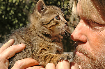 Image showing Man's best kitty