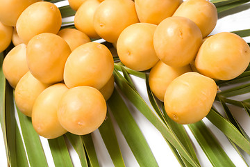 Image showing Bunch of fresh dates on the leaf