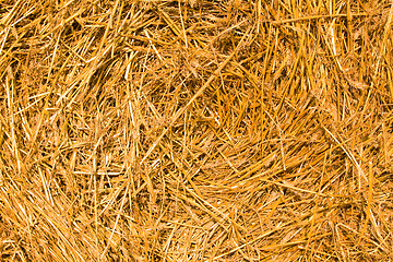 Image showing Straw