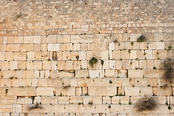 Image showing Wailing Wall (Western Wall) in Jerusalem texture 