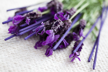 Image showing incense sticks