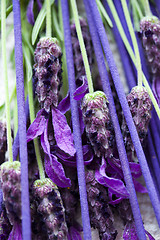 Image showing incense sticks