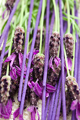 Image showing incense sticks