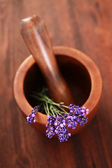 Image showing lavender with mortar and pestle