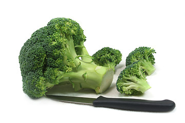 Image showing Broccoli