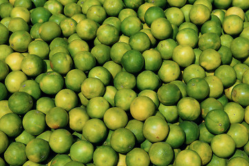 Image showing Sweet Lime