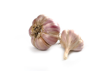 Image showing fresh garlic