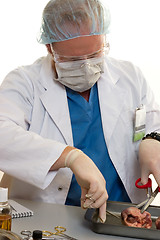 Image showing Surgeon or doctorr with a kidney