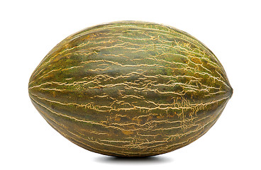 Image showing Melon