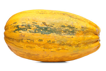 Image showing Single fresh pumpkin