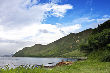 Image showing Green grass on sea coast under blue sky 