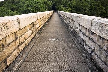 Image showing Path 