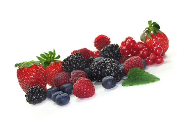 Image showing Berries