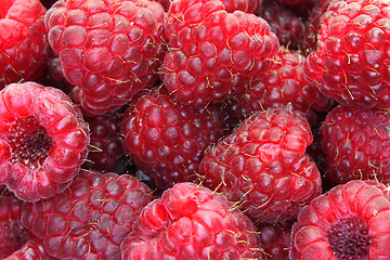 Image showing Raspberries