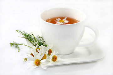 Image showing Chamomile tea