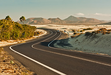 Image showing Winding Road in Desert