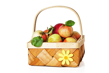 Image showing Wattled basket full of ripe apples