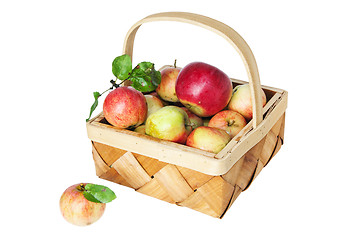 Image showing Wattled basket full of ripe apples