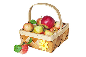 Image showing Wattled basket full of ripe apples