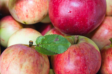 Image showing Beautiful ripe apples, background