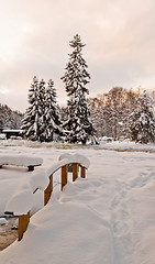 Image showing Snow winter park